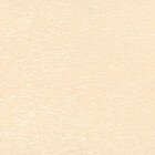 Фокус NEW BO 02 ваниль